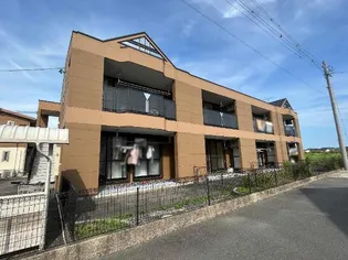 シンシアの画像