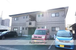 タミールの画像