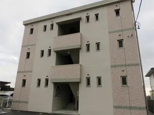 ベストN新貝の画像