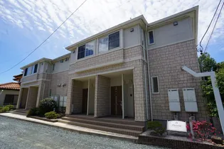 プラタナスの画像