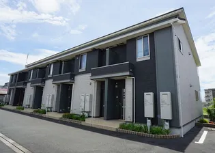 ステラオッファIIの画像