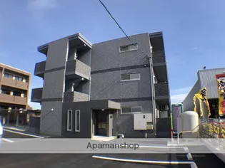 シャウレーアリタマの画像