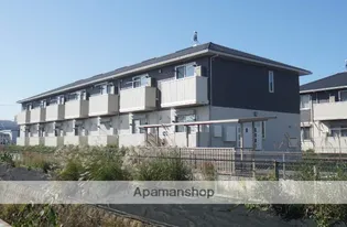 エヴァーグリーンの画像