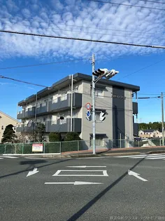 カトレアⅢの画像