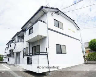 メイプル岩井の画像