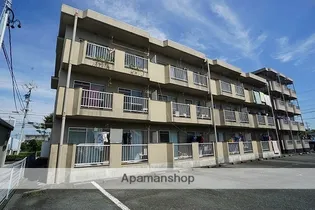 エクセーラの画像