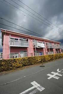 シャルマンAの画像