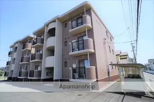 セレブレイトの画像