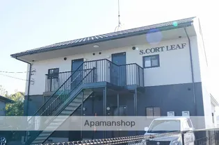 S' CORT LEAFの画像