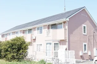 カモミールの画像