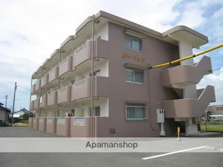 ビーハイヴの画像