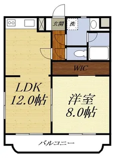 RAFFINE泉(西美薗)【1階】の間取り