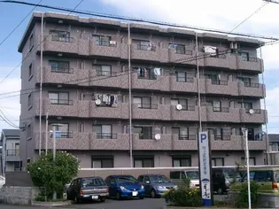 フォルテNの画像