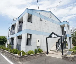 スカイリーフの画像