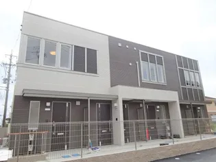 BABY'S BREATHの画像