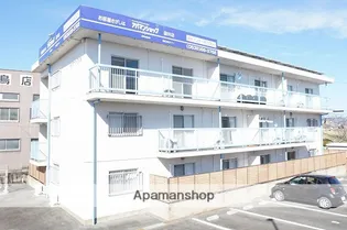 レナトゥスの画像