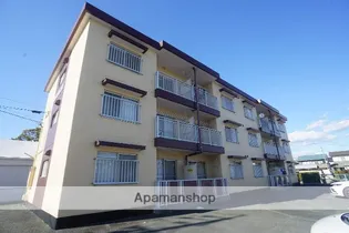 ノンパレイユ笠井の画像