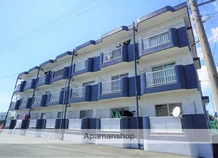 サンフラワーIの画像