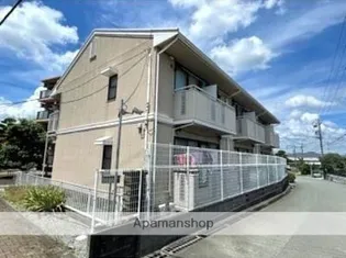 花きゃべつの画像