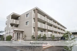 エレガントストークの画像