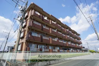 サンフラワーIIIの画像