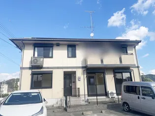 ドリアンの画像