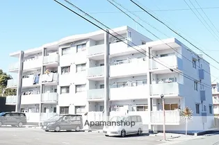 シャルマンIIIの画像