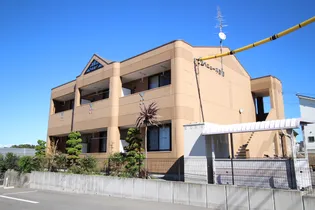 トリュイートの画像