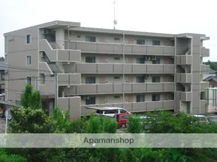 フィオーレの画像