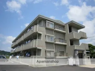 エヴァーグリーンの画像