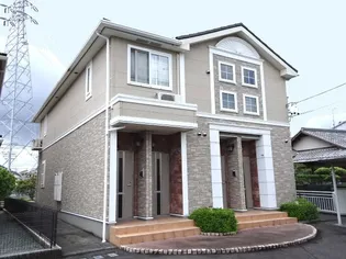 バイオレットの画像