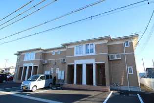 プラシードの画像