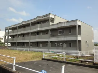 マーブルパレスⅡ【3階】の外観