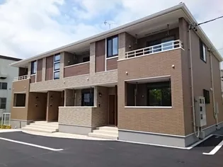 コニファーの画像