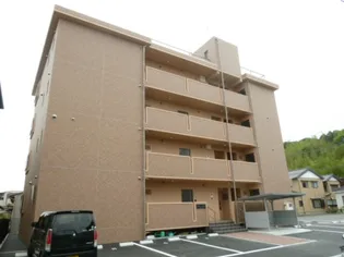 ティエラ ナタールの画像