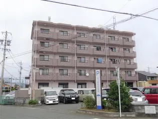 フォルテNの画像