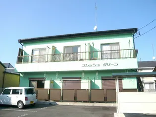 フレッシュグリーンの画像