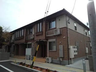 フェリスの画像