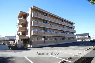 エムズドリームVIの画像