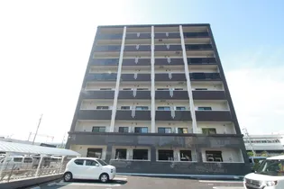 RCユニヴァリィ亀の甲の画像