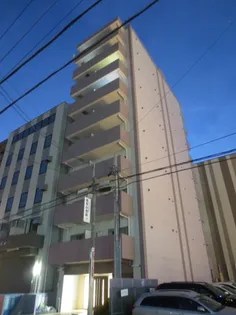 タイニーグローブの画像