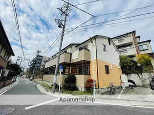 シティヒラソルの画像