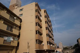 シャトーマスヒコ【302号室】の外観