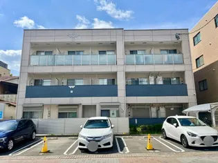 ビスカリア猫洞の画像