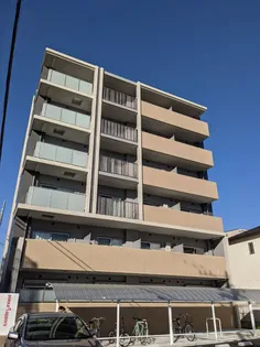 ザ セブンズの画像