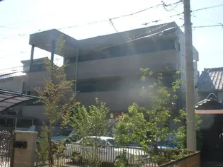 アンプルールフェールVERTの画像