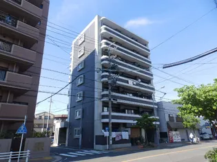 フラットSの画像