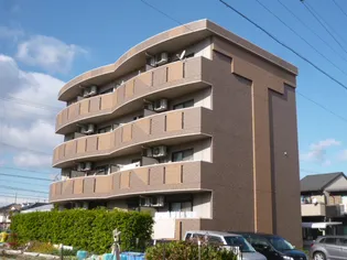 ミルフォードの画像