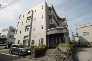 オーキッド ビアンカの画像