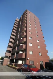 フィレンチェコートの画像